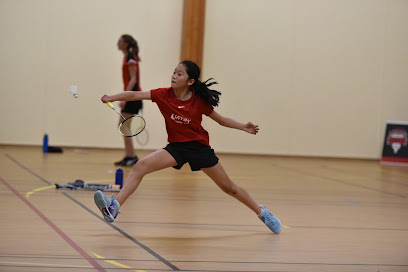 ESV Badminton 94