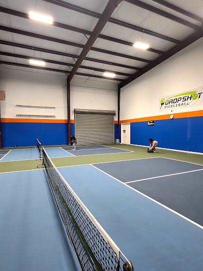 Drop Shot Pickleball