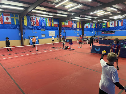 The Pickleball Court at San Antonio Table Tennis Club