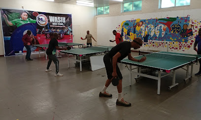 Wasiu Table Tennis