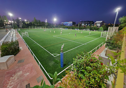 Centro Deportivo Municipal Luis Aragonés