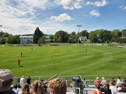 Burnham Field