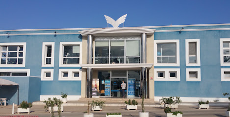 Grupo TecniTenis