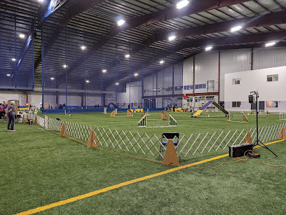MultiSports Kingdom Manalapan