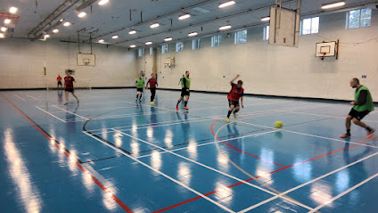Tregib Sports Facilities