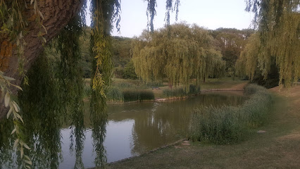 C.T. CHAVENAY