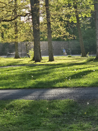 Tennis Courts