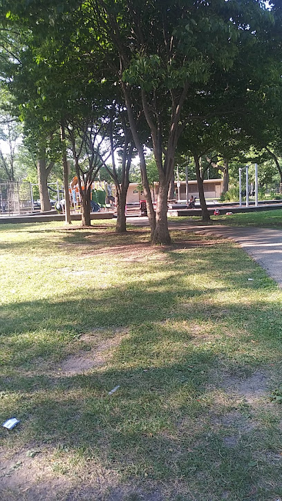 Bell George Jr Park Tennis Court