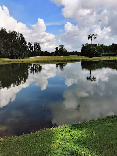Saddlebrook Tennis Resort