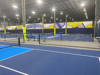 Pickleball Play 365