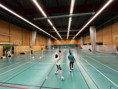 CUC Badminton