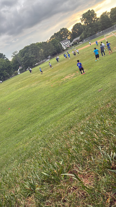 Ardmore Park Tennis Courts