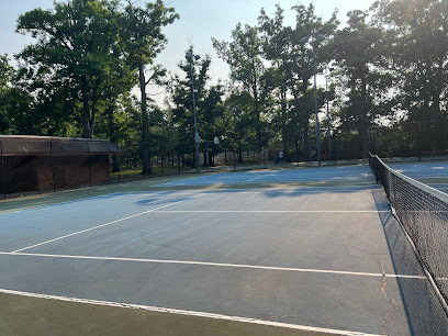 Hayes Park Tennis Courts