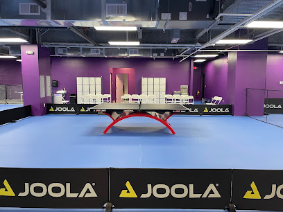Spin-X Table Tennis Club