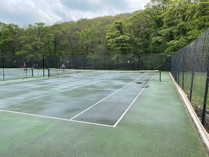 Millhouses Park Tennis Courts