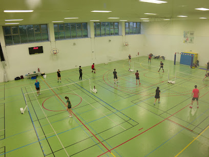 CSM20 Badminton