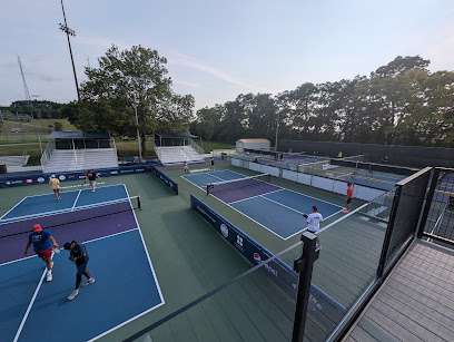 Pickleball Court