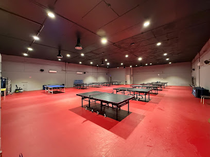 Sevilla Tenis De Mesa City (Pongcity)