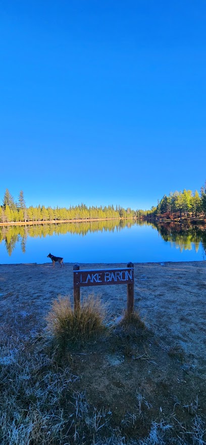 Tahoe Paradise Park Pickleball Courts