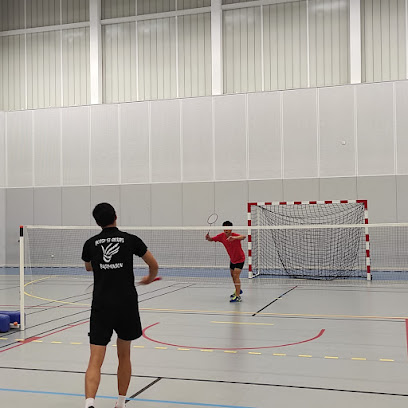 BSG Badminton