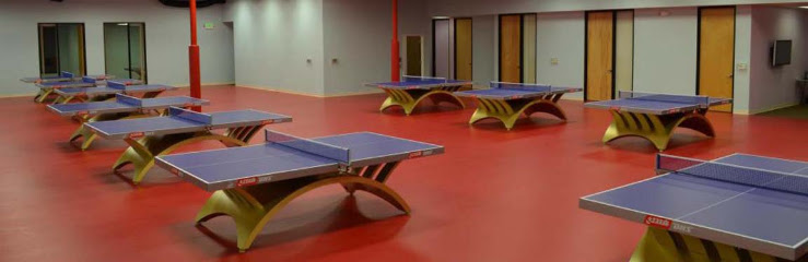 Swan Ping Pong