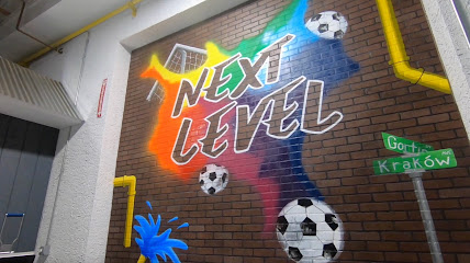 Next Level Indoor Sports