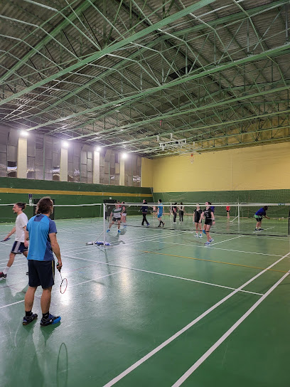 Todobadminton
