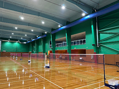 Boston Badminton at Harvard