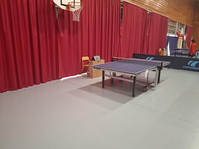 PLVPB Lyon 3 Tennis de table