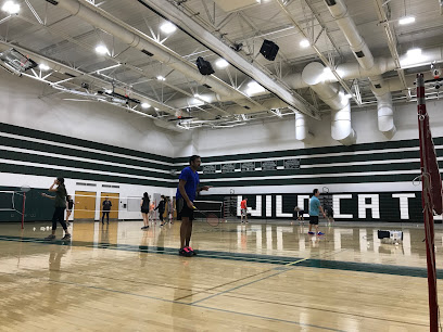 Towsontowne Community Badminton