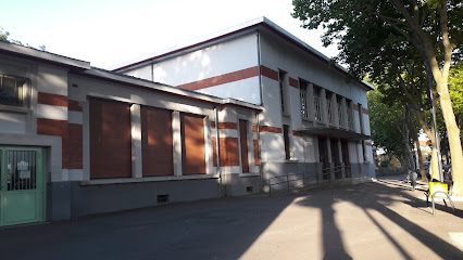 Toulouse Patte d'Oie Table Tennis