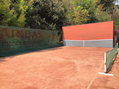 TENNIS ARENES DE CIMIEZ