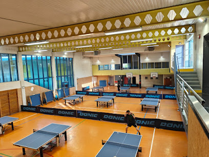 Metz GAB TT