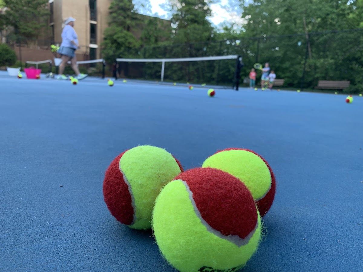 North Shore Tennis Courts (Reston Association)