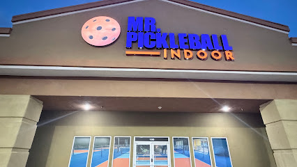 MR.PICKLEBALL INDOOR