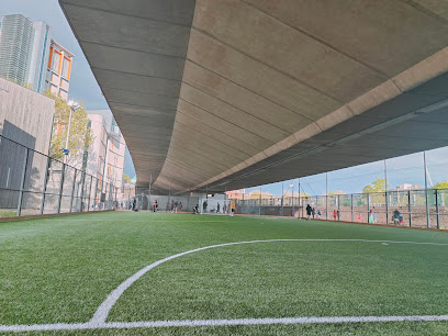 Academy Sport