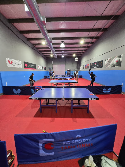 EC Sports Table Tennis