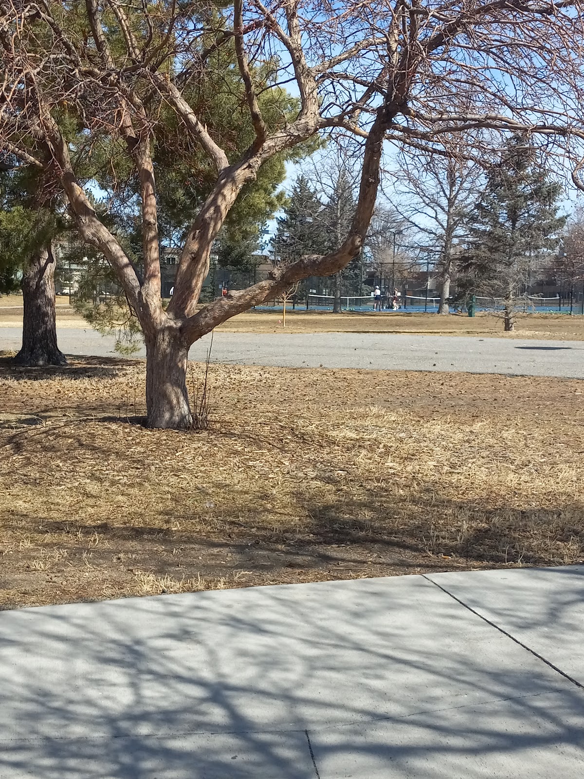 TENNIS COURT 2