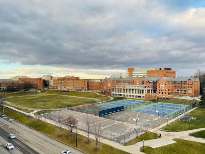 Palmer Field