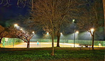 DYKE PARK TENNIS CLUB