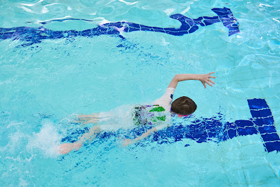 Mold Leisure Centre