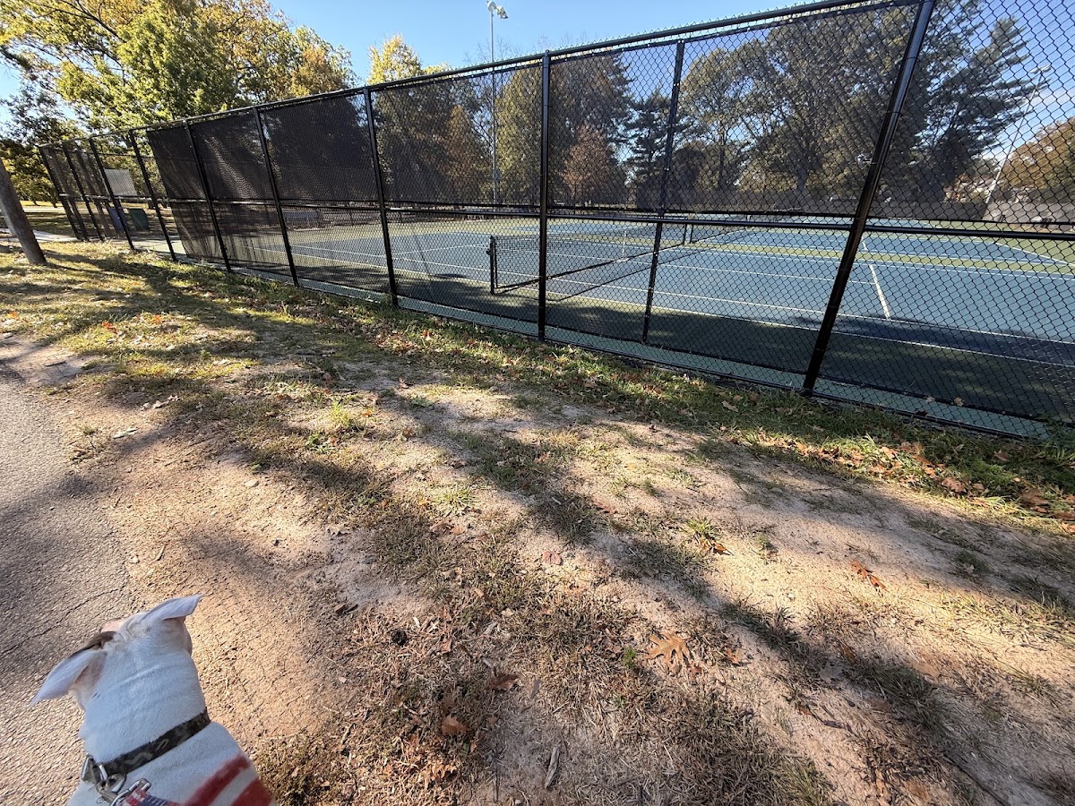 Tennis courts