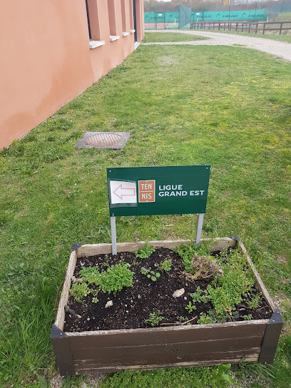 Comité de la Marne de Tennis
