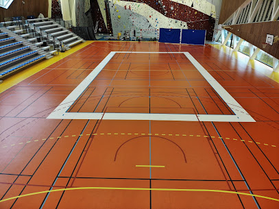 ASBE Badminton Antony Wissous