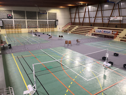 ASE Egly Badminton