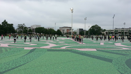 SAINT DENIS UNION SPORT