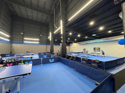 Chicago International Table Tennis Academy - CITTA
