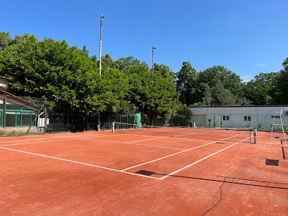 T.O.E.C TENNIS CLUB