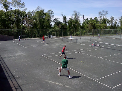Wheeling Park Tennis Courts and Boyce Shelter