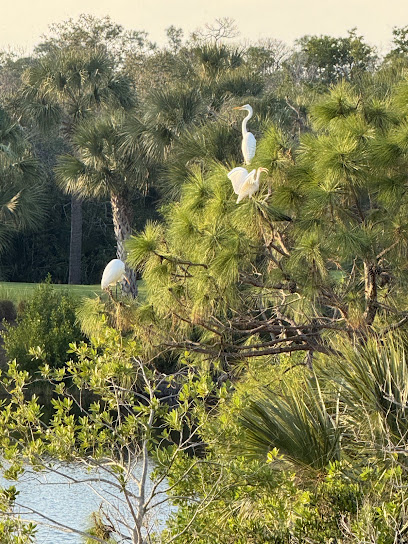 Pelican Landing Tennis Center
